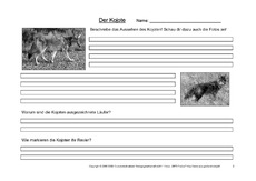 Kojote-Fragen-2.pdf
